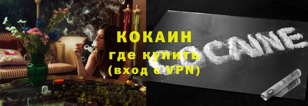 гидра Бородино