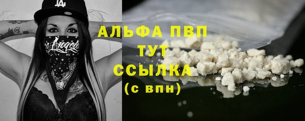 гидра Бородино