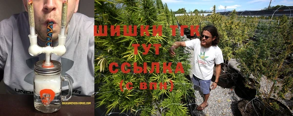 гидра Бородино
