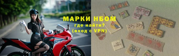 гидра Бородино