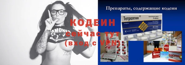 ГАЛЛЮЦИНОГЕННЫЕ ГРИБЫ Верея