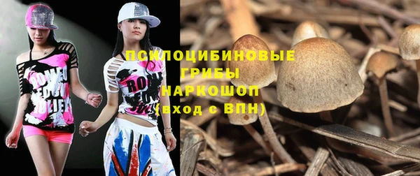 ГАЛЛЮЦИНОГЕННЫЕ ГРИБЫ Верея