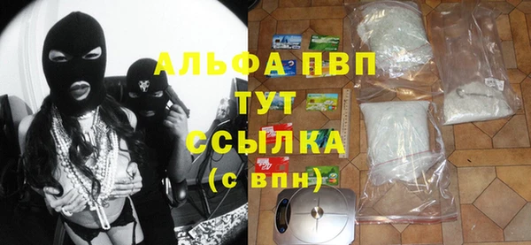 гидра Бородино